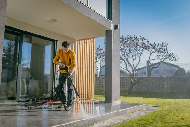 Best Soft Washing for Delicate Surfaces in New Holstein, WI